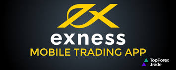 Is Exness Broker Regulated Understanding the Safety of Your Investments Is Exness Broker Regulated Understanding the Safety of Your Investments